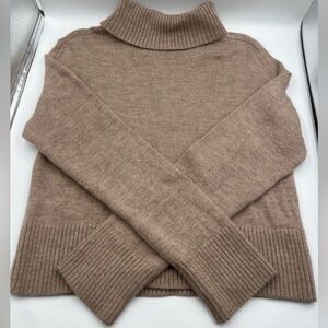 Aritzia Babaton 100% Merino Wool Turtleneck Sweater